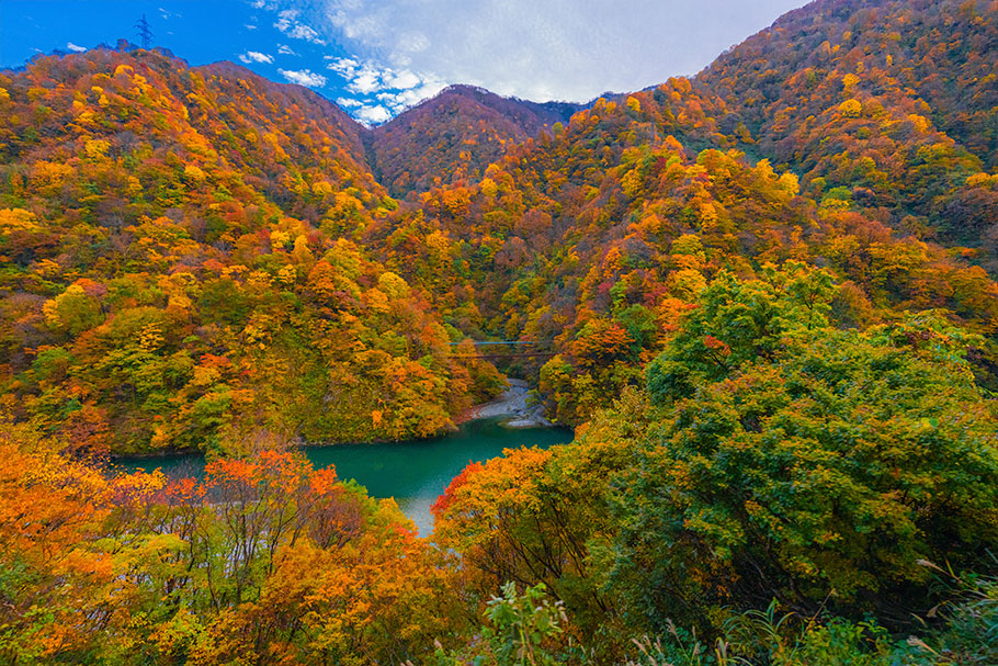 동경4일#부산출발#알펜루트#온천2박#하코네#오다이바
